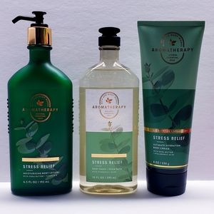 Bath & Body Works EUCALYPTUS & SPEARMINT Body Cream, Body Lotion, and Body Wash
